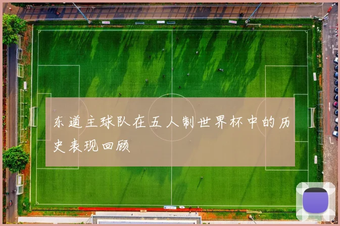 东道主球队在五人制世界杯中的历史表现回顾